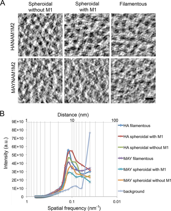 FIG 3