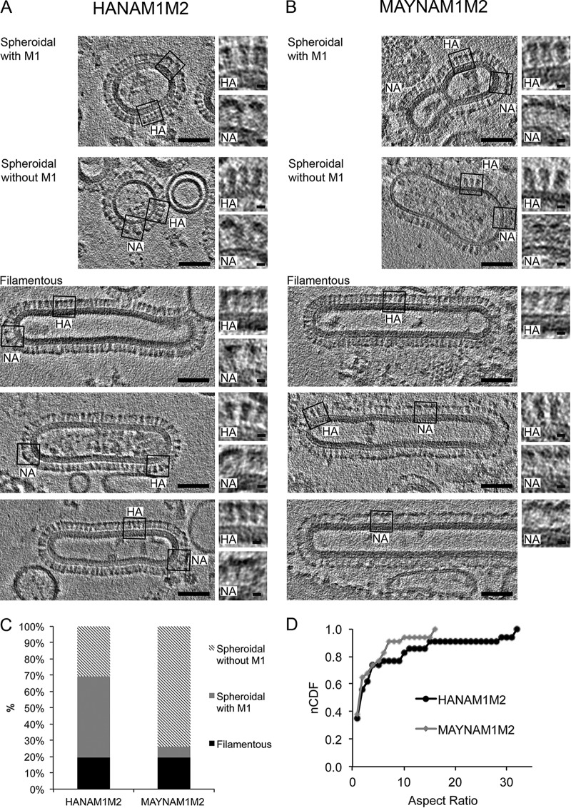 FIG 2