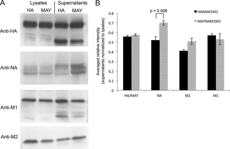 FIG 1