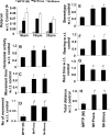 Figure 11.