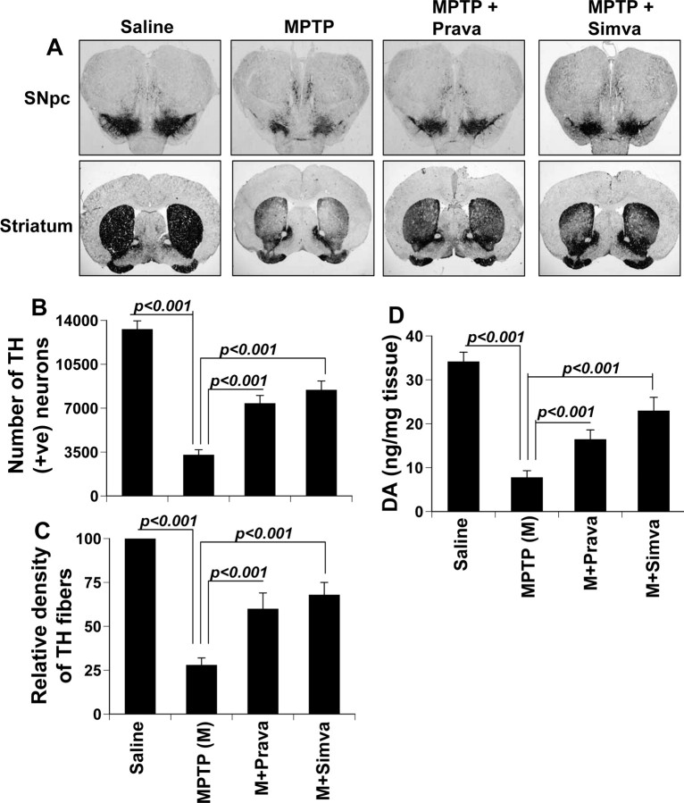 Figure 12.