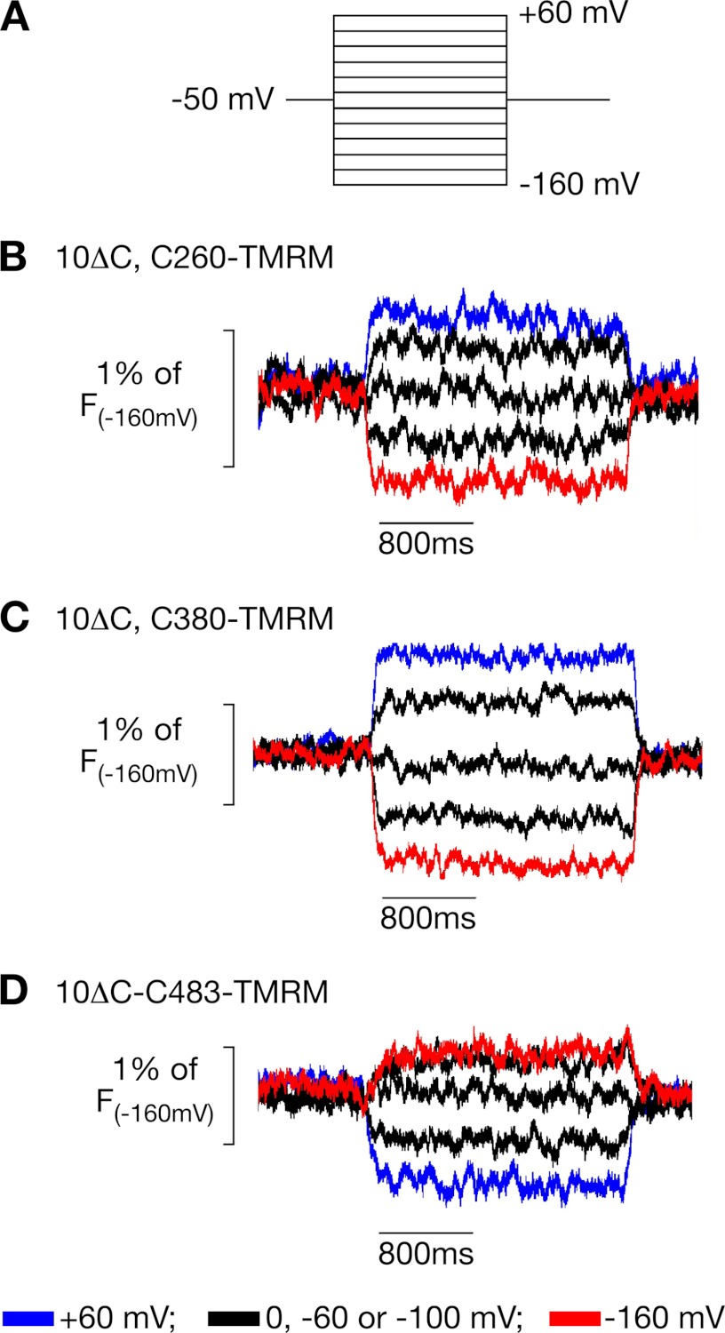 FIGURE 1.