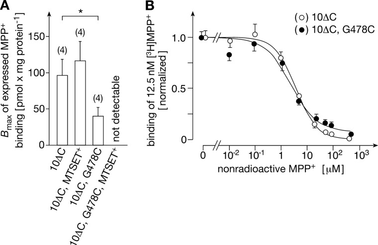 FIGURE 9.