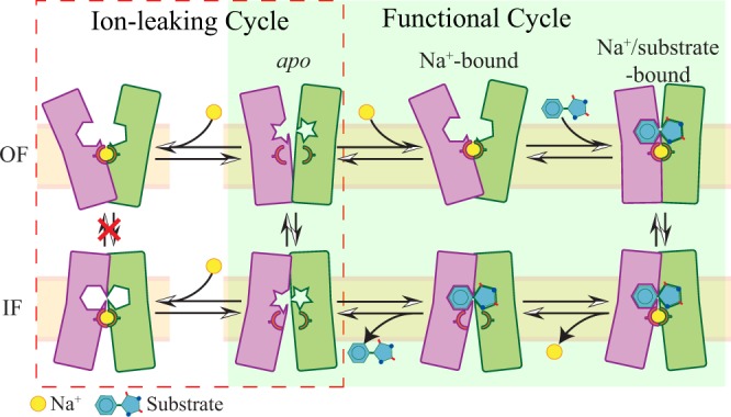 Figure 6