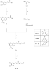 Scheme 1