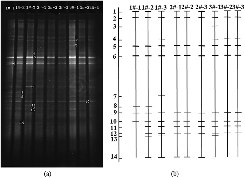 Figure 6.