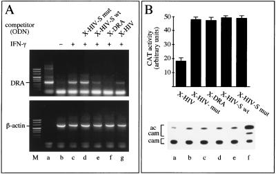 FIG. 8