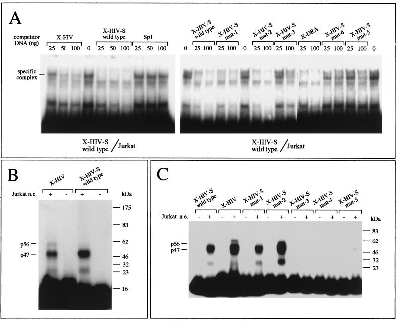 FIG. 7