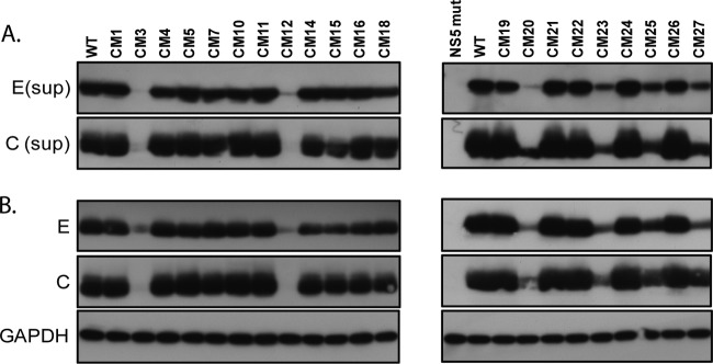 FIG 3