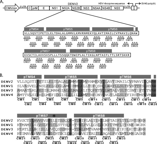 FIG 1