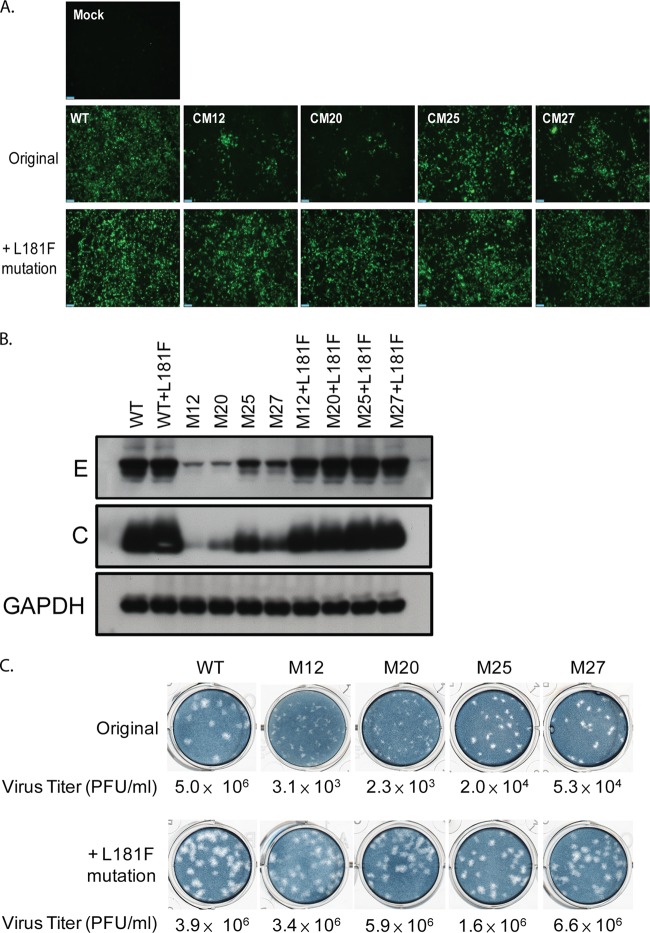 FIG 6