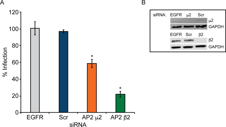 FIG 2