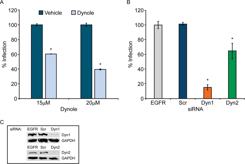 FIG 3