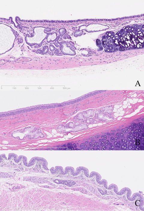 Fig. 8.4