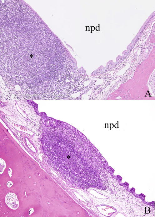 Fig. 8.12
