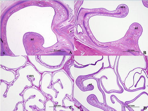 Fig. 8.3