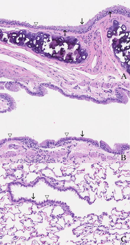 Fig. 8.7