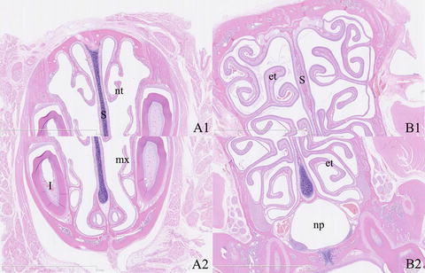 Fig. 8.2