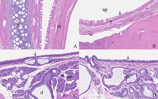 Fig. 8.6