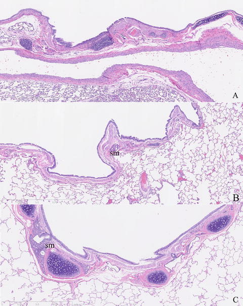 Fig. 8.9