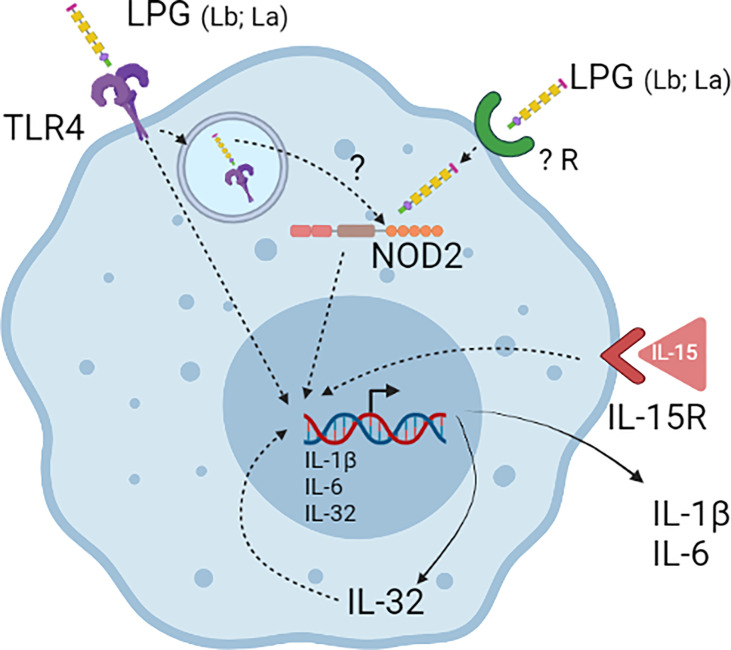 Figure 7