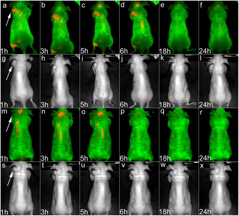 Figure 4