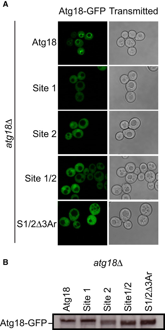 Figure 6