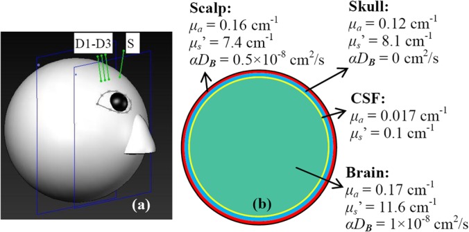 FIG. 1.