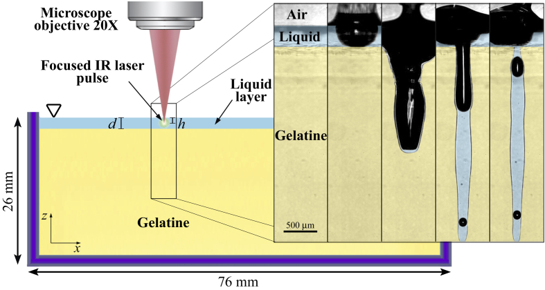 Fig. 1.