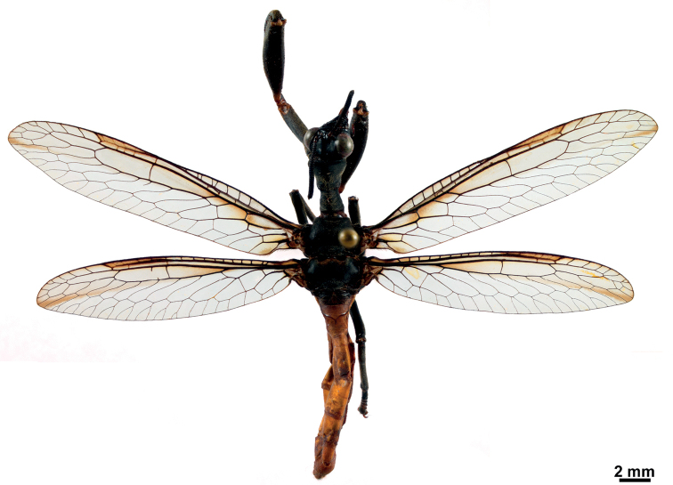 Figure 10.