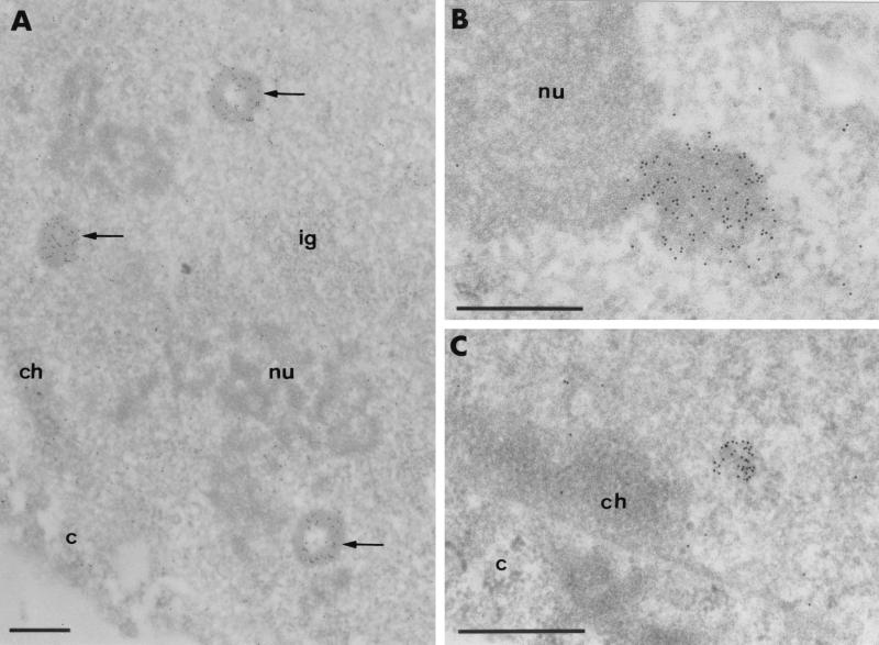 FIG. 6