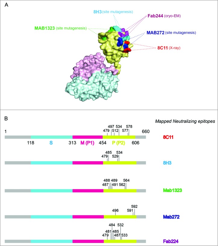 Figure 2.