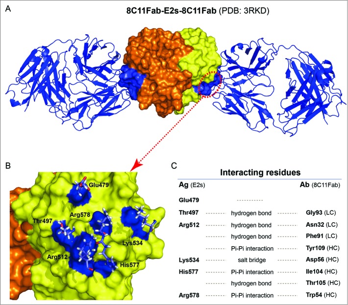 Figure 3.