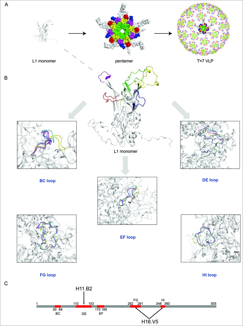 Figure 4.