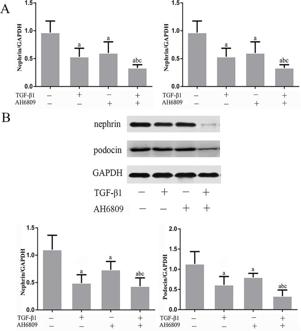 Fig 5