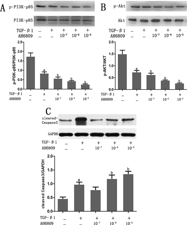 Fig 9