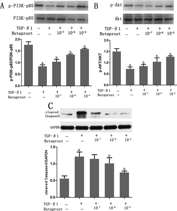 Fig 8