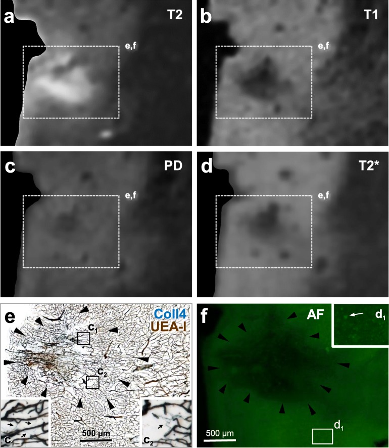 Fig. 10