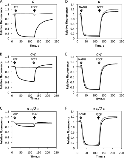 FIGURE 5.