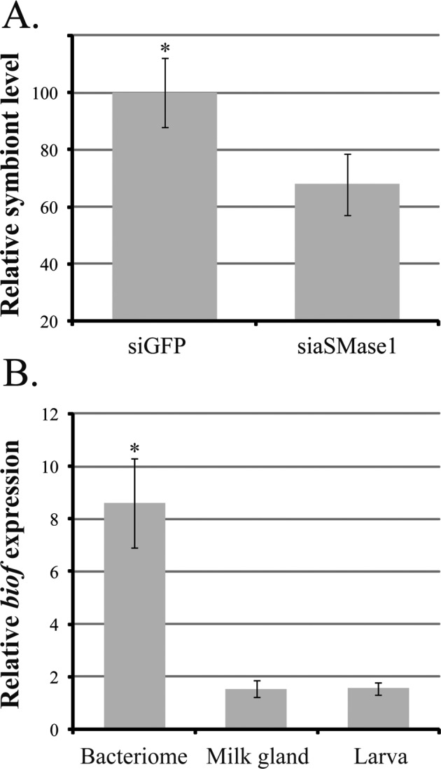 FIG. 6. 