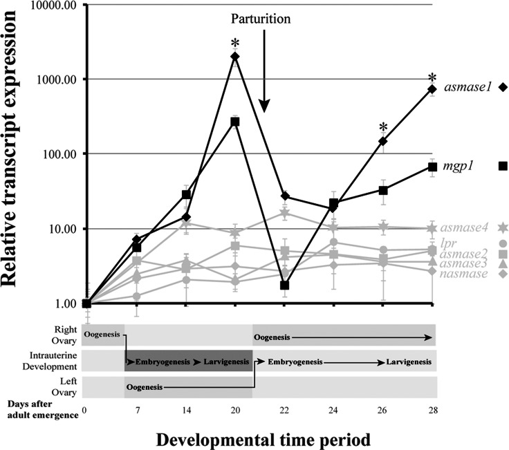 FIG. 1. 