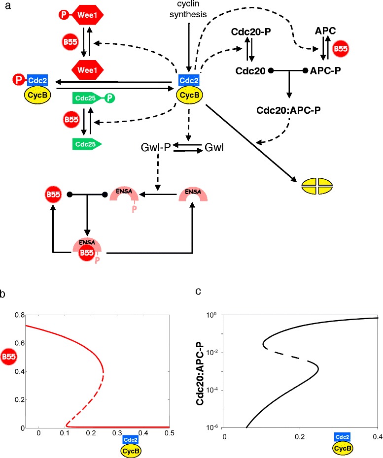 Fig. 4