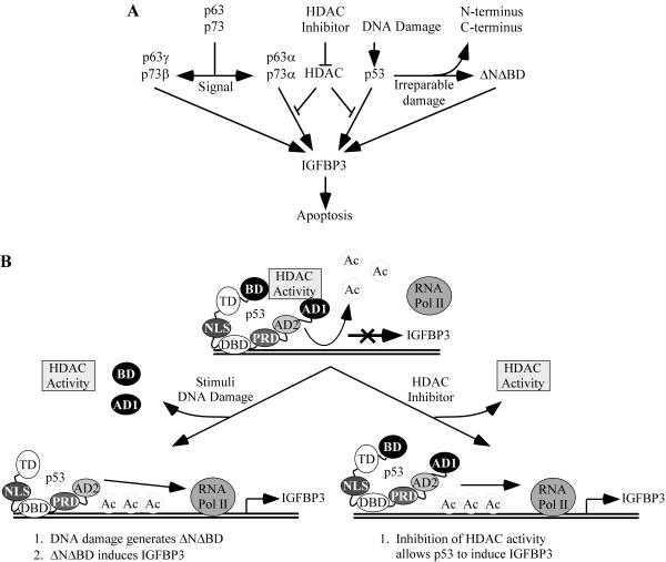 FIG. 10.