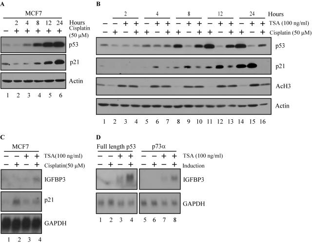 FIG. 8.