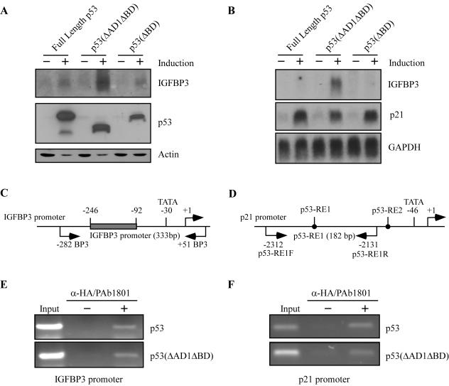 FIG. 7.