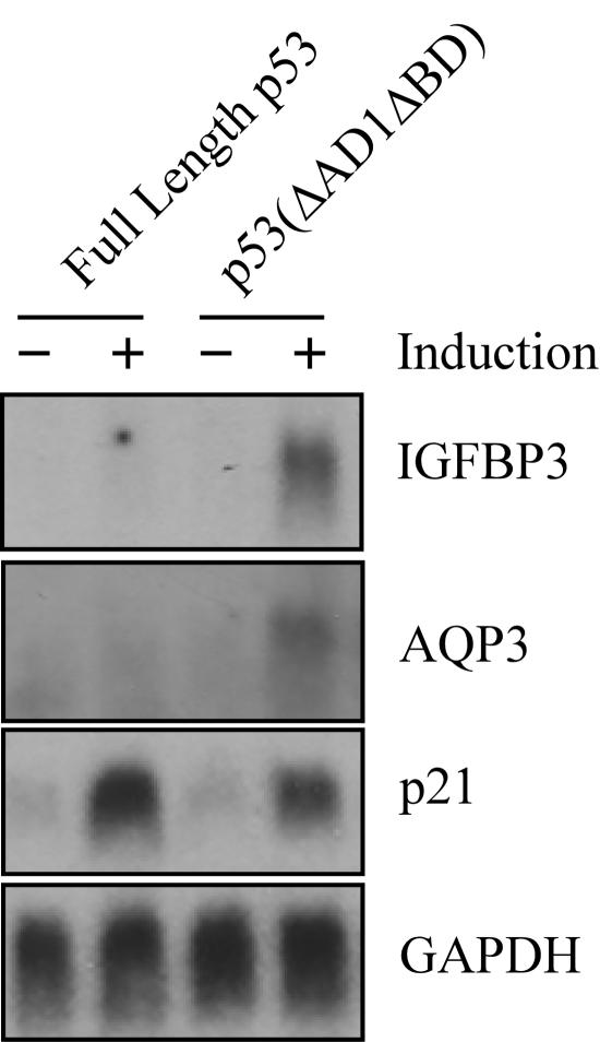 FIG. 9.