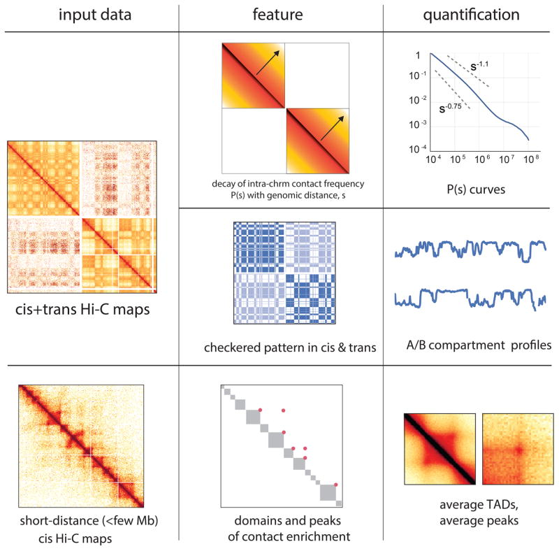 Extended Data Figure 1