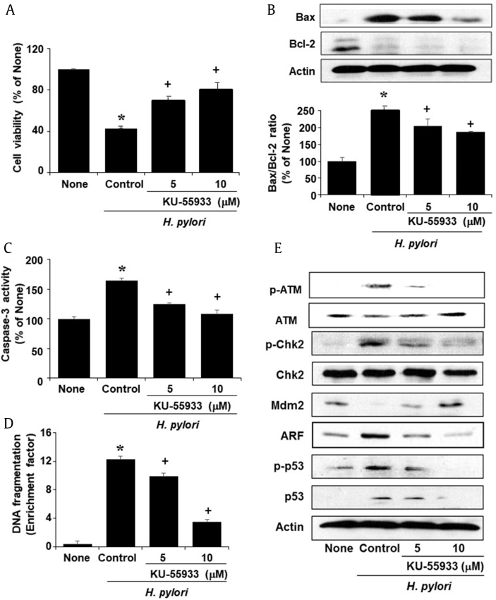 Fig. 3