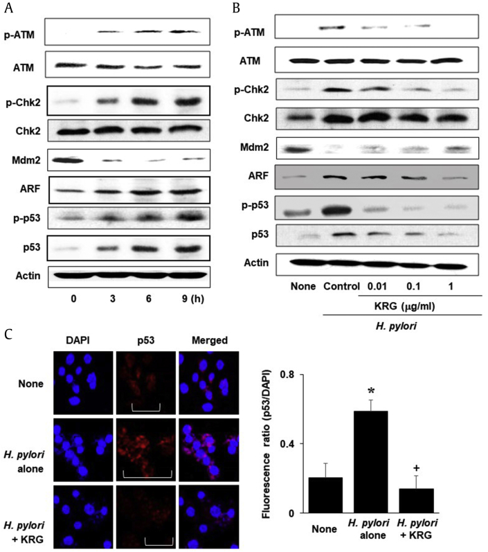 Fig. 2