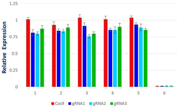 Figure 13